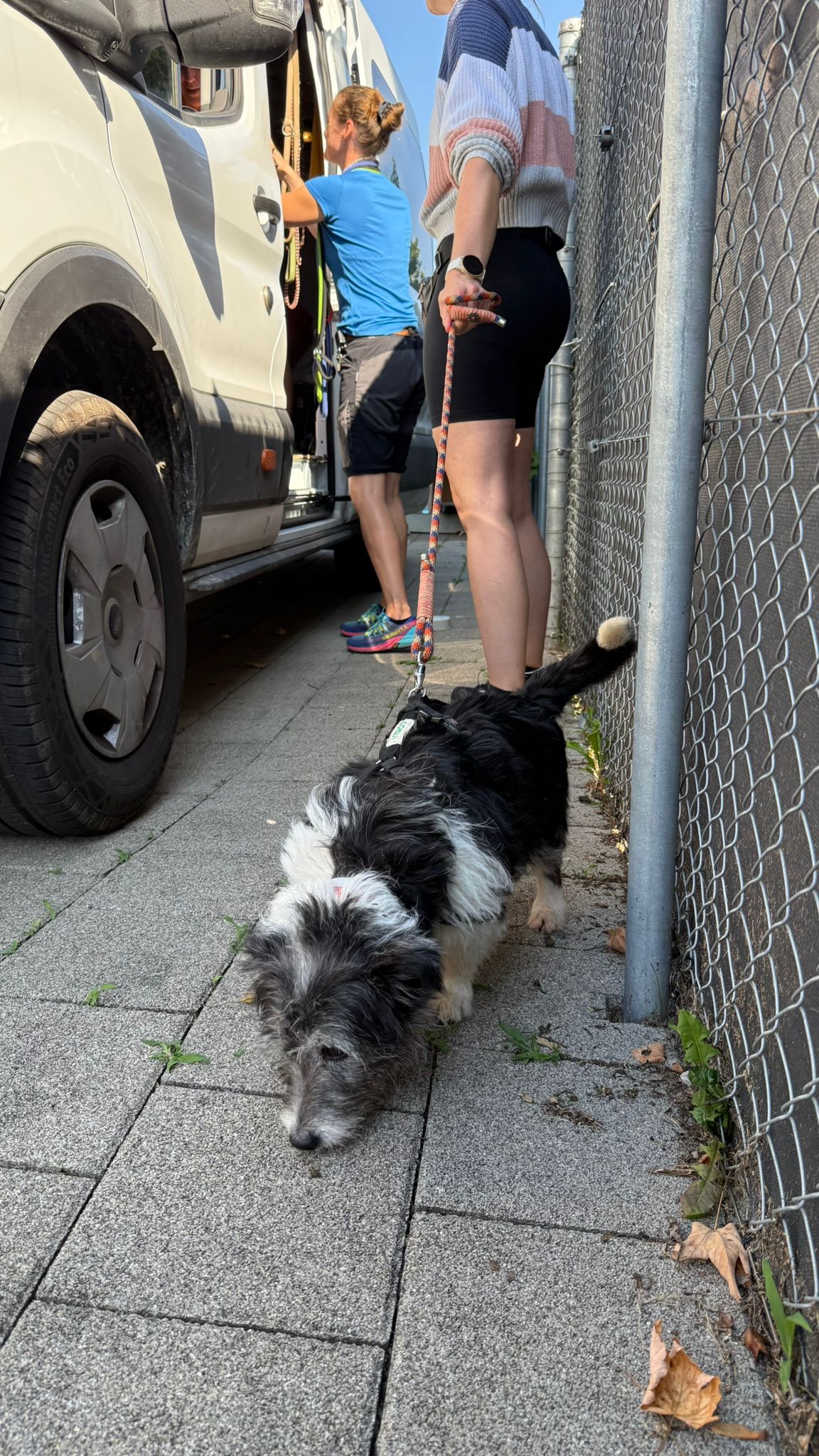 Transport