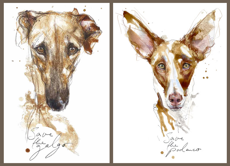 Galgo_Podenco (002)