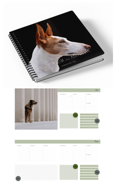 18-10-2025_10-23-091