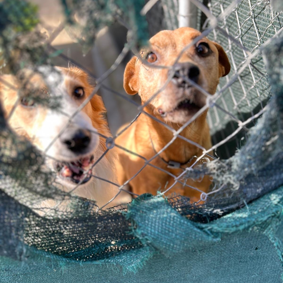 WhatsApp Image 2025-10-12 at 15.15.19