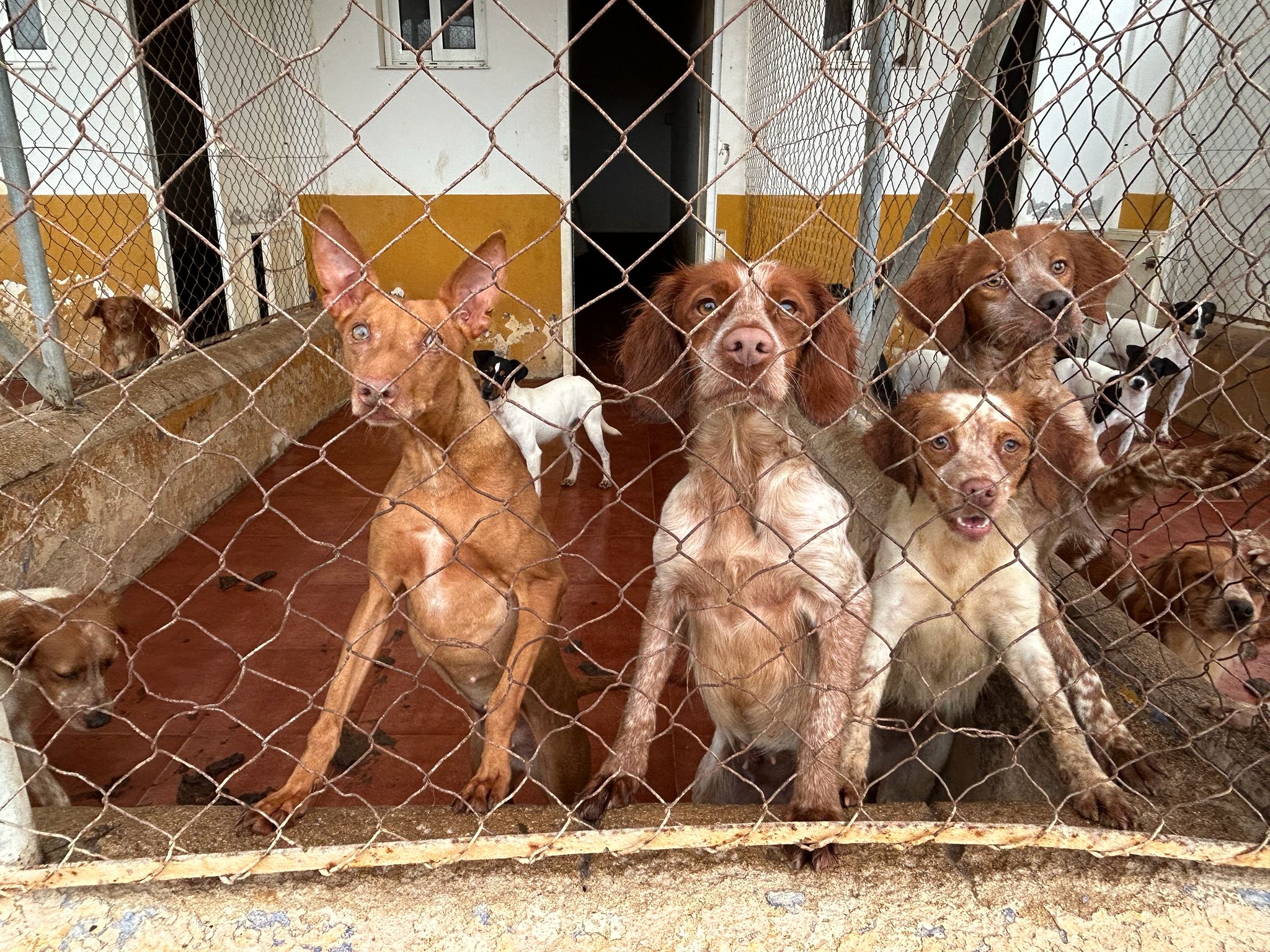 31234e2e-8fa6-0aaf-3a71-b2868f6c02f2